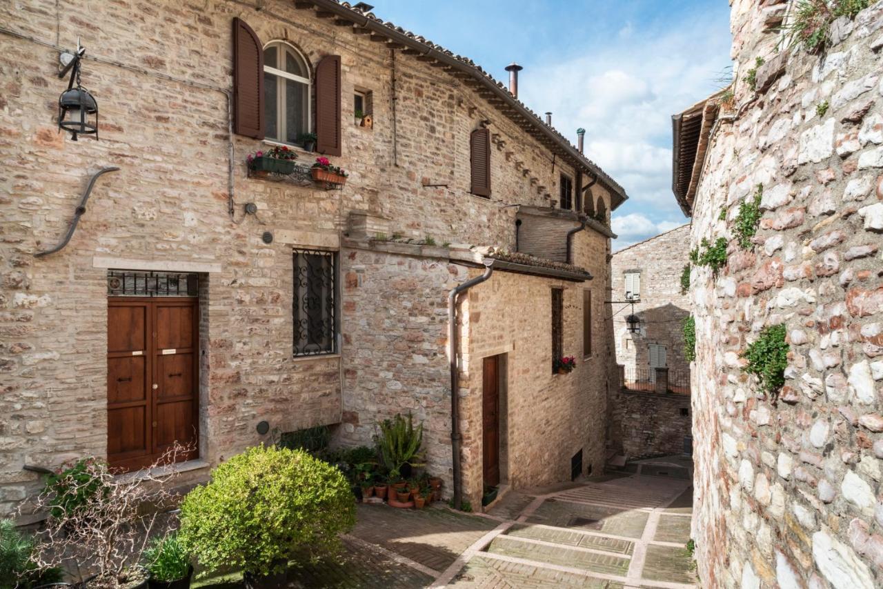 Casa Clara Appartamenti Assisi Eksteriør billede